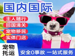 云冈航空物流国际宠物托运 【国